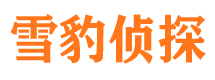 夷陵捉小三公司